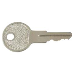 Ignition Starter Switch Replacement Key (Set of 2)